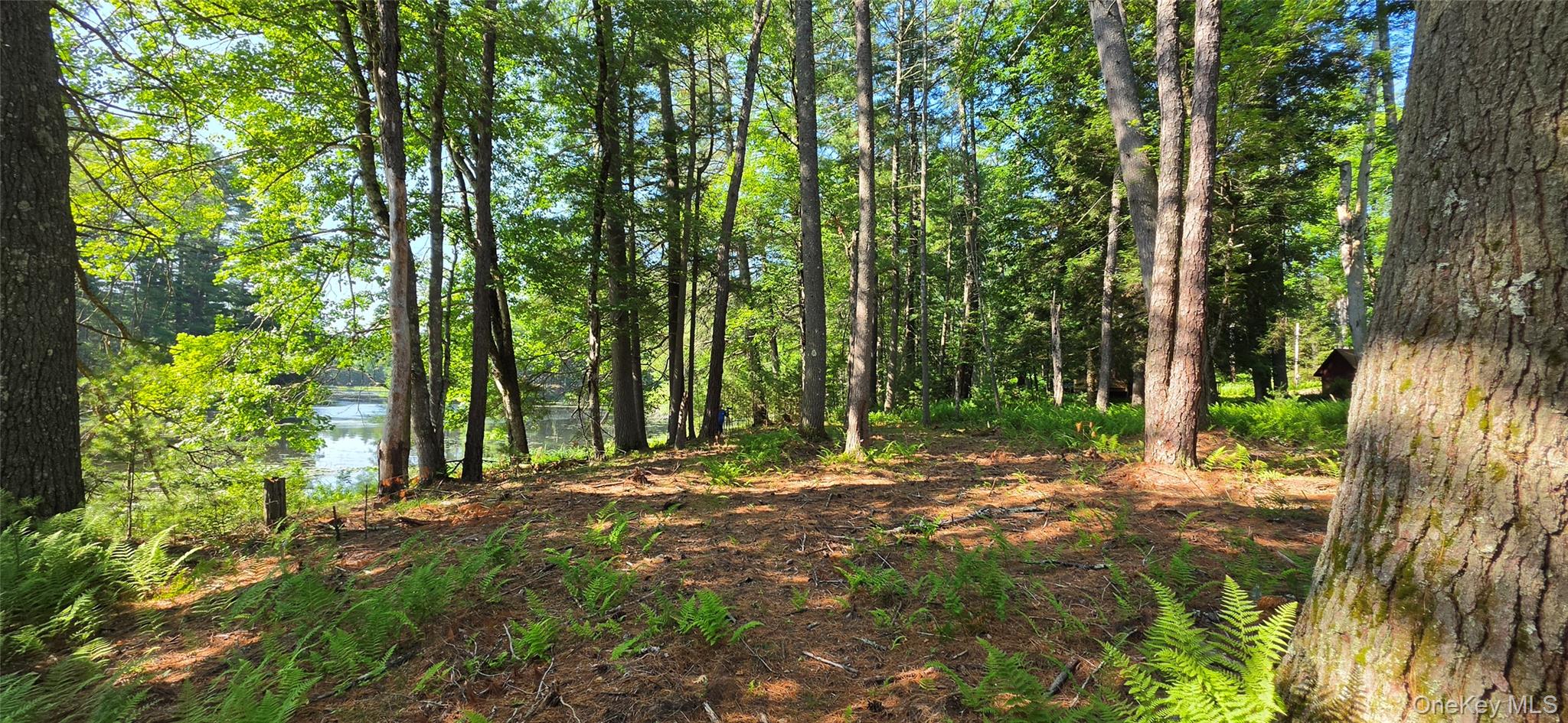 80 Beaver Brook Road Narrowsburg, NY 12764 - Photo 21 of 30