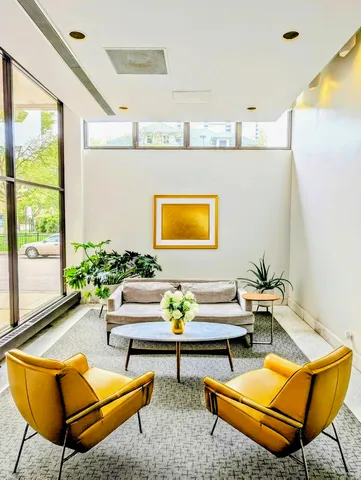 a living room with a couch and a potted plant
