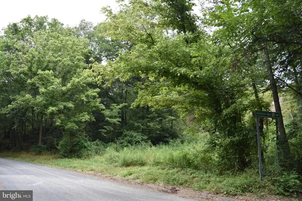 a view of a yard with a trees
