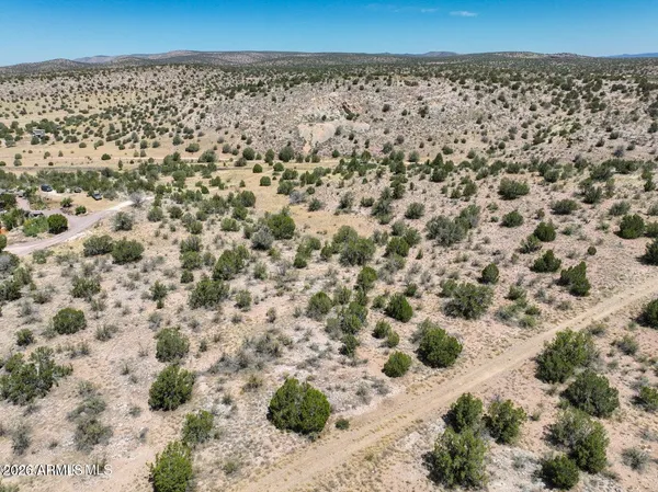 a view of a dry yard