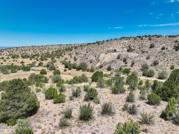 a view of a large building with a mountain in the background