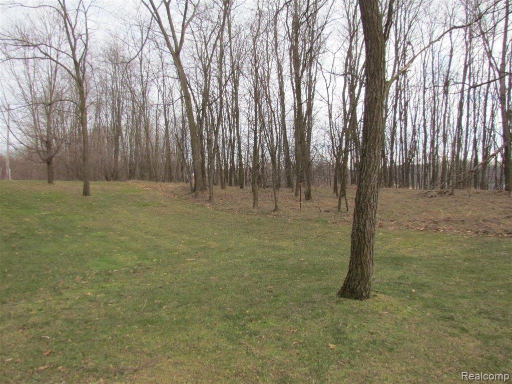 5737 West Schafer Road Howell, MI 48843 - Photo 17 of 18 Yard2.jpg