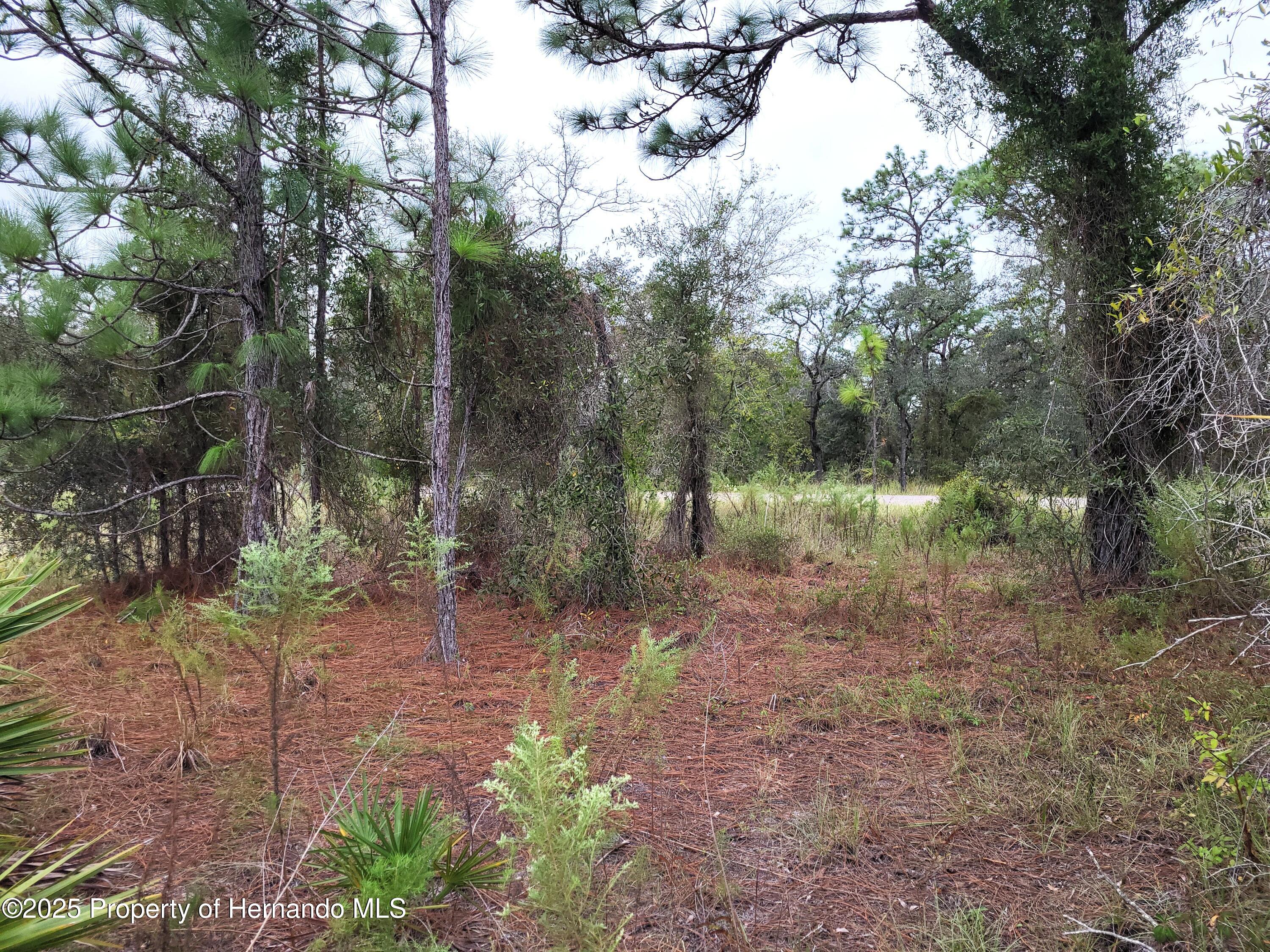 0 Motmot Road Weeki Wachee, FL 34614 - Photo 1 of 10