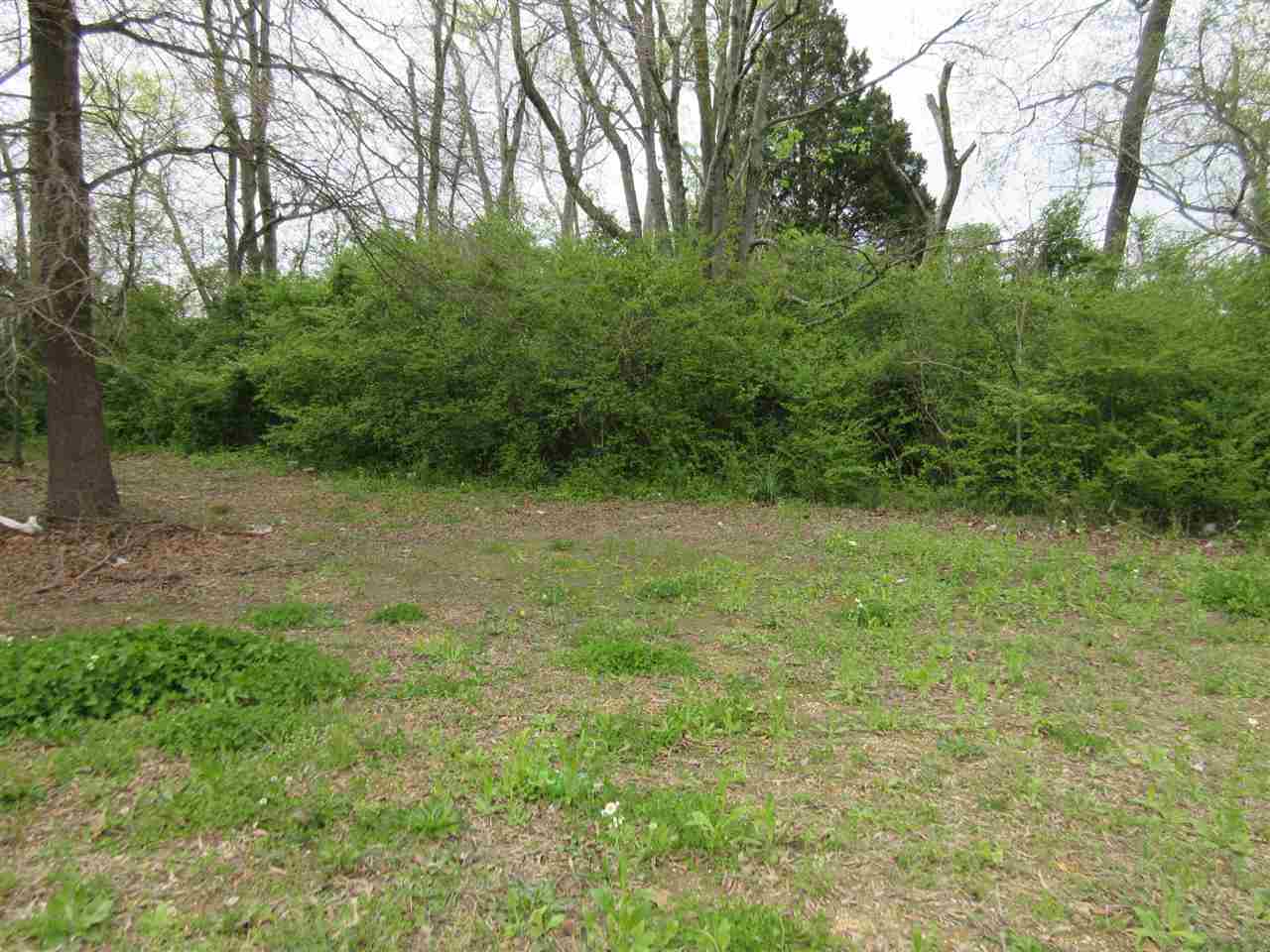 860 Florence Road Savannah, TN 38372 - Photo 1 of 2 Gallery Image 1
