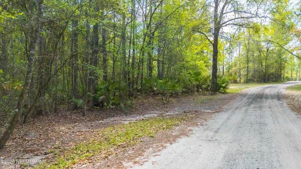 a view of backyard with green space