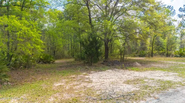 a view of a yard with trees in the background