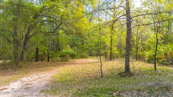 a view of a park with large trees