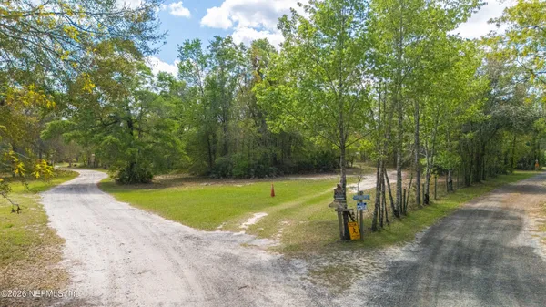 a view of a yard with plants and large trees
