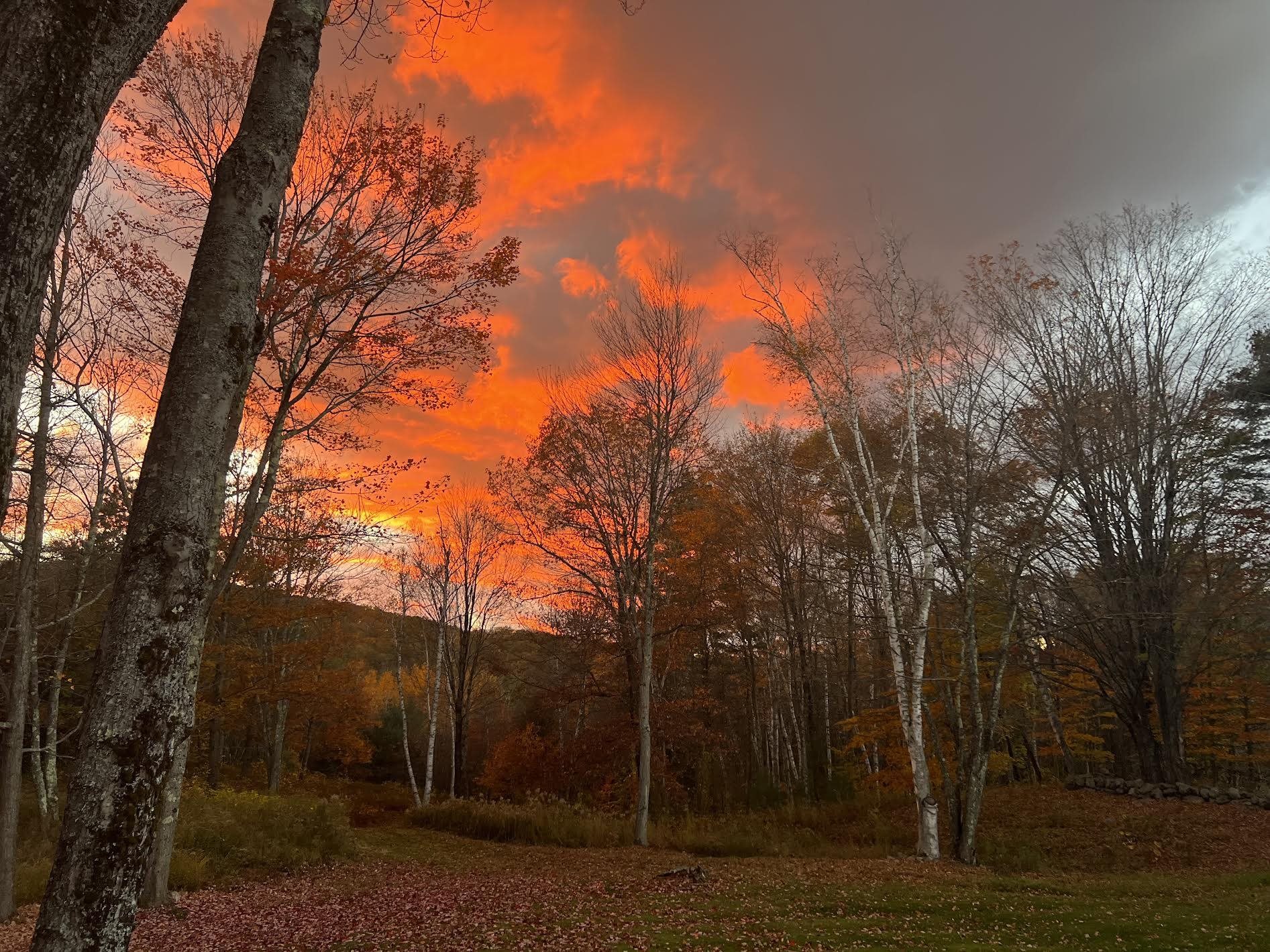 8 Coventry Road Concord, NH 03301 - Photo 33 of 40