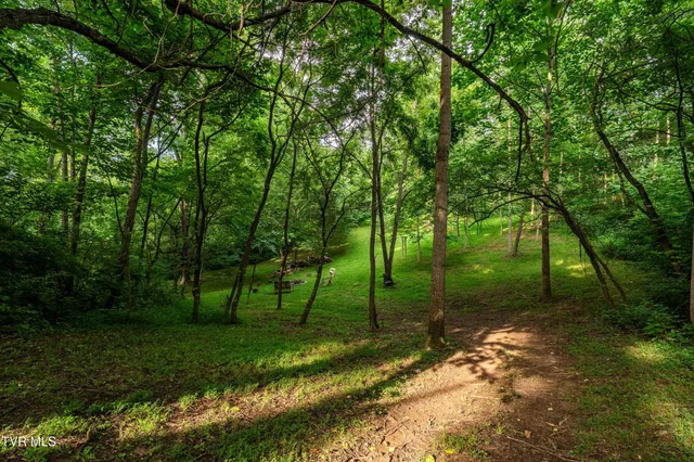 $2,390,000 | 2294 Dry Creek Road, Johnson City, TN 37604