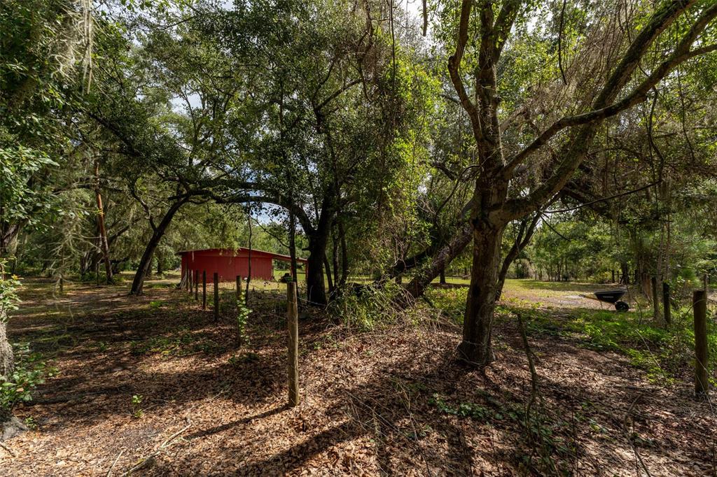 14150 Highland Road Wimauma, FL 33598 - Photo 56 of 70 Gallery Image 56