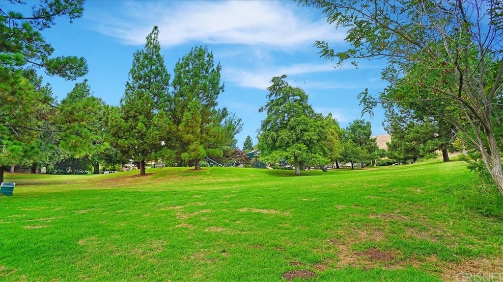 12230 Stewarton Drive Porter Ranch, CA 91326 - Photo 25 of 25 a view of a big yard with plants and large trees