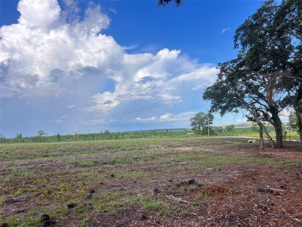 Levy Street Williston, FL 32696 - Photo 9 of 26