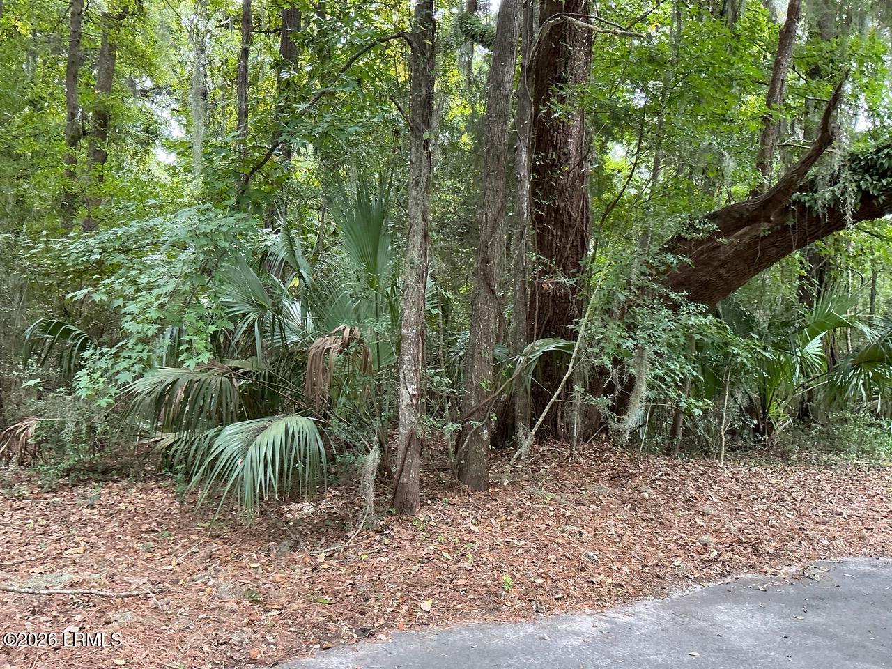 80 North Boone Road St. Helena Island, SC 29920 - Photo 1 of 22 IMG_0309