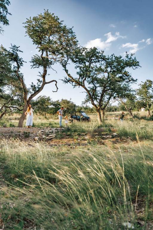 17650 A Hamilton Pool Road Austin, TX 78738 - Photo 12 of 12 a view of a field with an tree