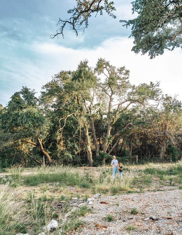 17650 A Hamilton Pool Road Austin, TX 78738 - Photo 3 of 12 a view of a yard in a yard