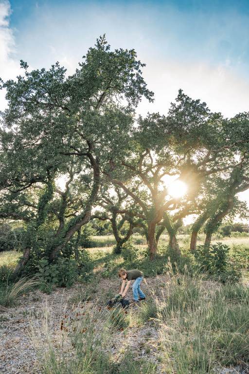 17650 A Hamilton Pool Road Austin, TX 78738 - Photo 4 of 12 a backyard of a house