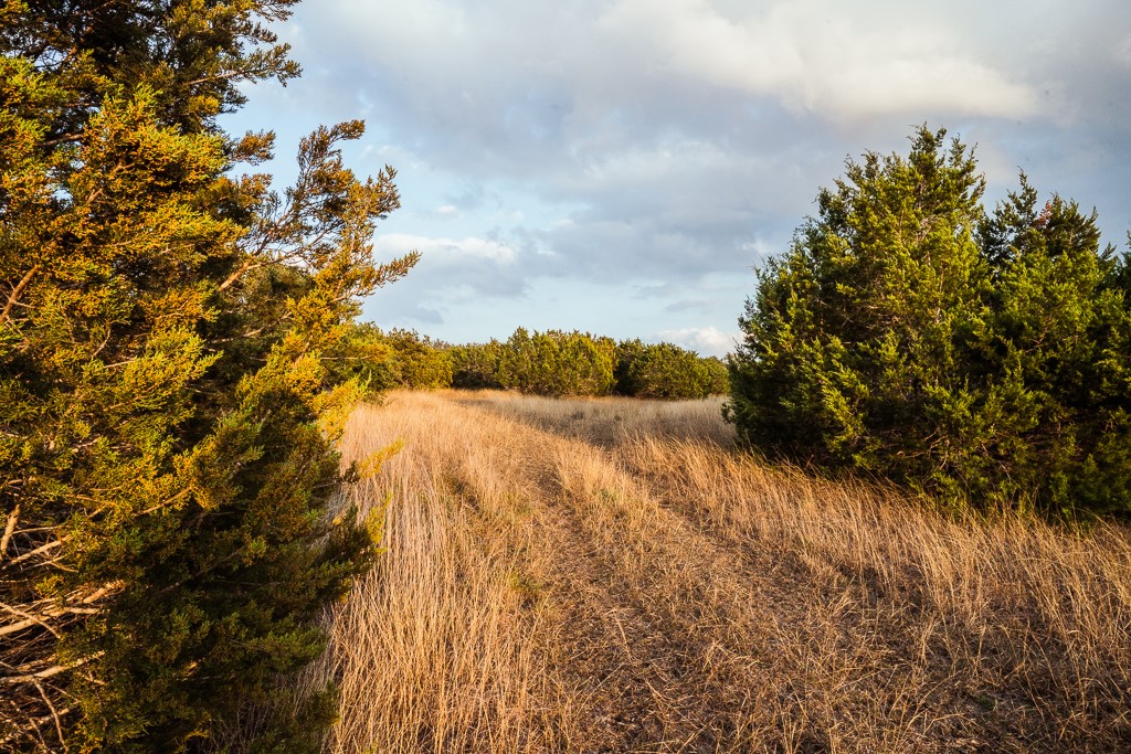 17650 A Hamilton Pool Road Austin, TX 78738 - Photo 8 of 12 a view of a lake