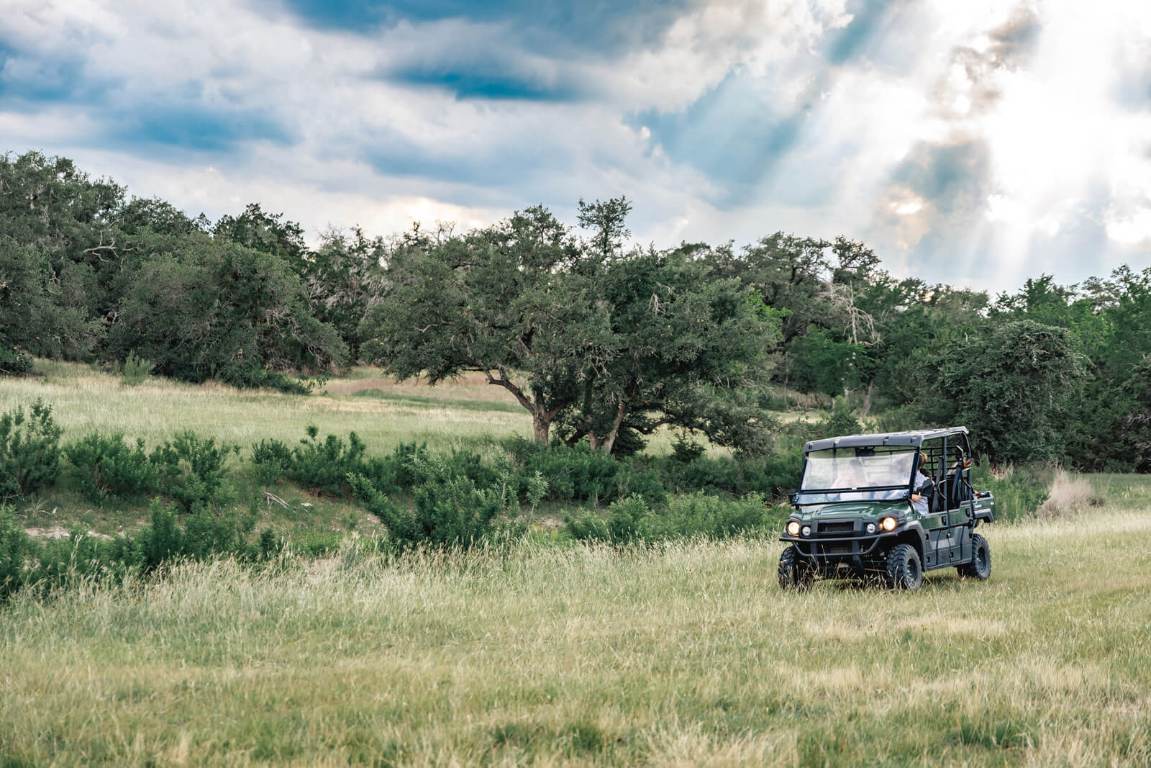 17650 A Hamilton Pool Road Austin, TX 78738 - Photo 10 of 12 a backyard of a house with lots of green space