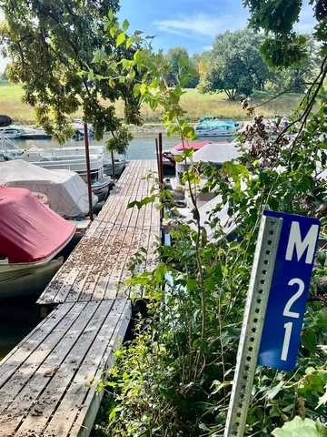 a view of a lake from a yard