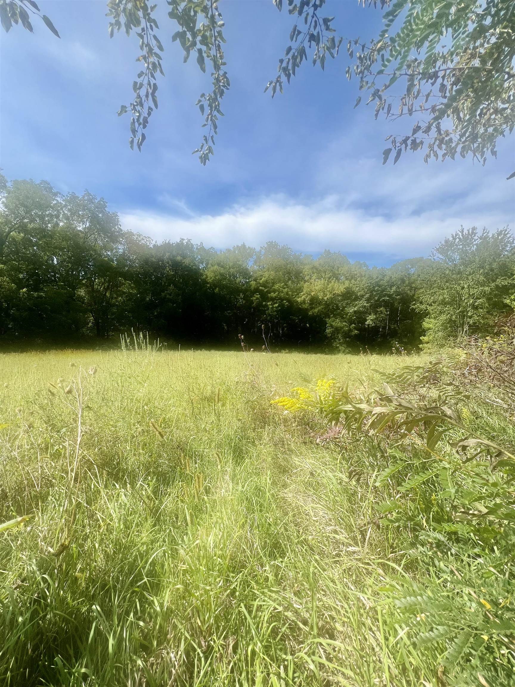 2-a34 Hidden Spring Lane Apple River, IL 61001 - Photo 4 of 4 a view of a lake from a yard