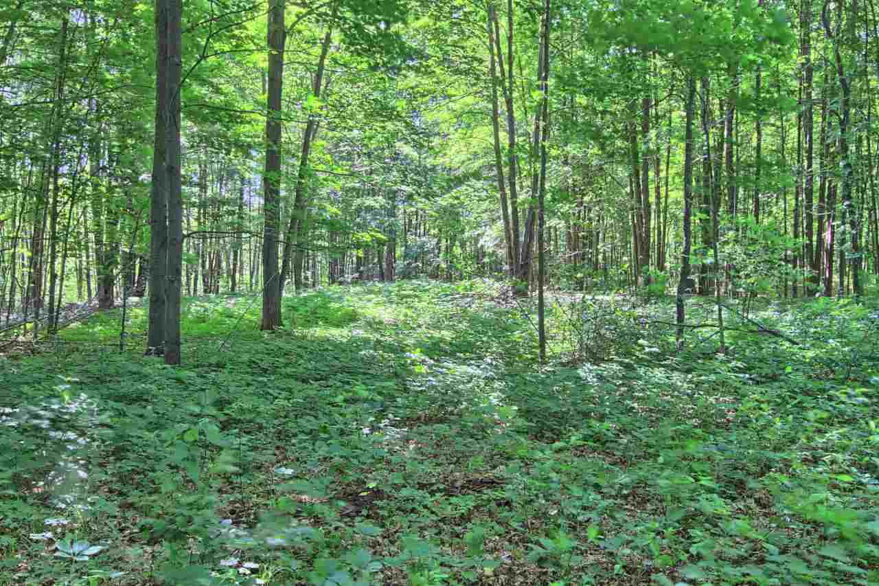 5275 Pierce Road Kingsley, MI 49649 - Photo 5 of 45 1801921-4.JPG