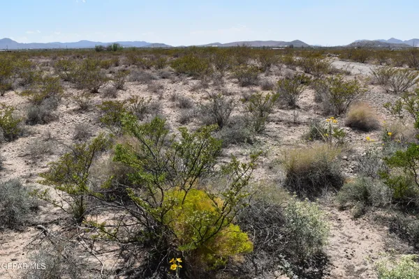 a view of a lake with a mountain in the background