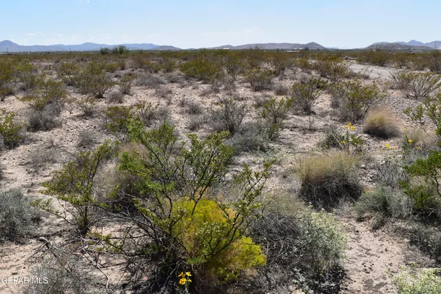 a view of a lake with a mountain in the background