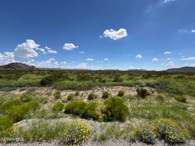 a view of a city with lush green forest