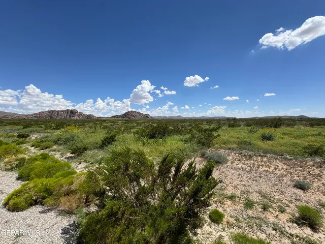 a view of a lake with a mountain