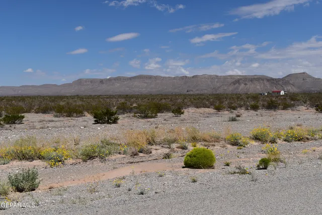 a view of a lake with a mountain in the background