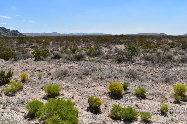 a view of a mountain with a forest