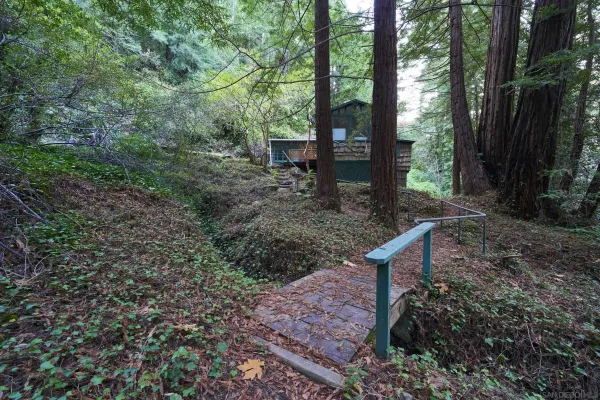 a view of a garden with trees