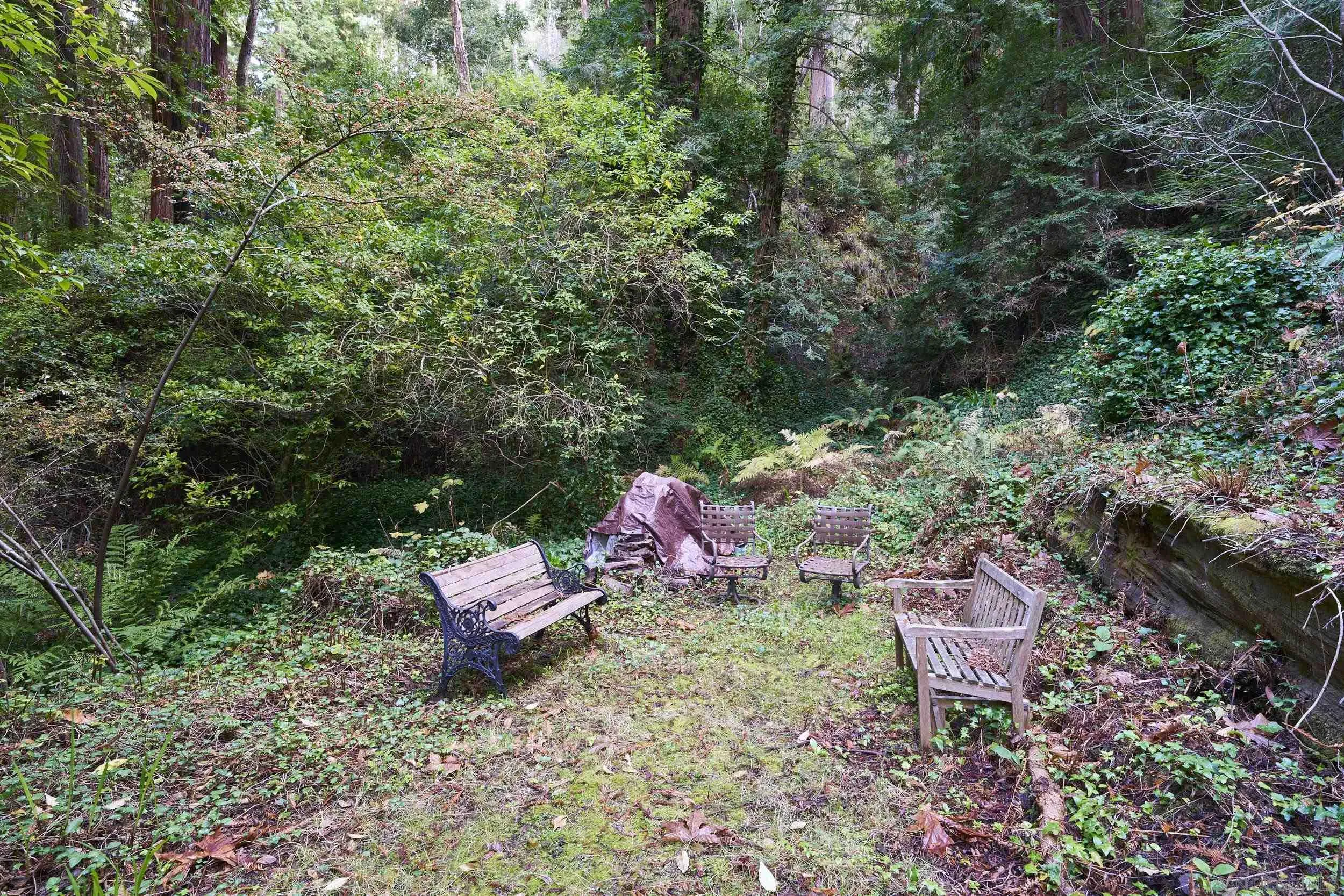 37016 Palo Colorado Road Carmel, CA 93923 - Photo 8 of 10