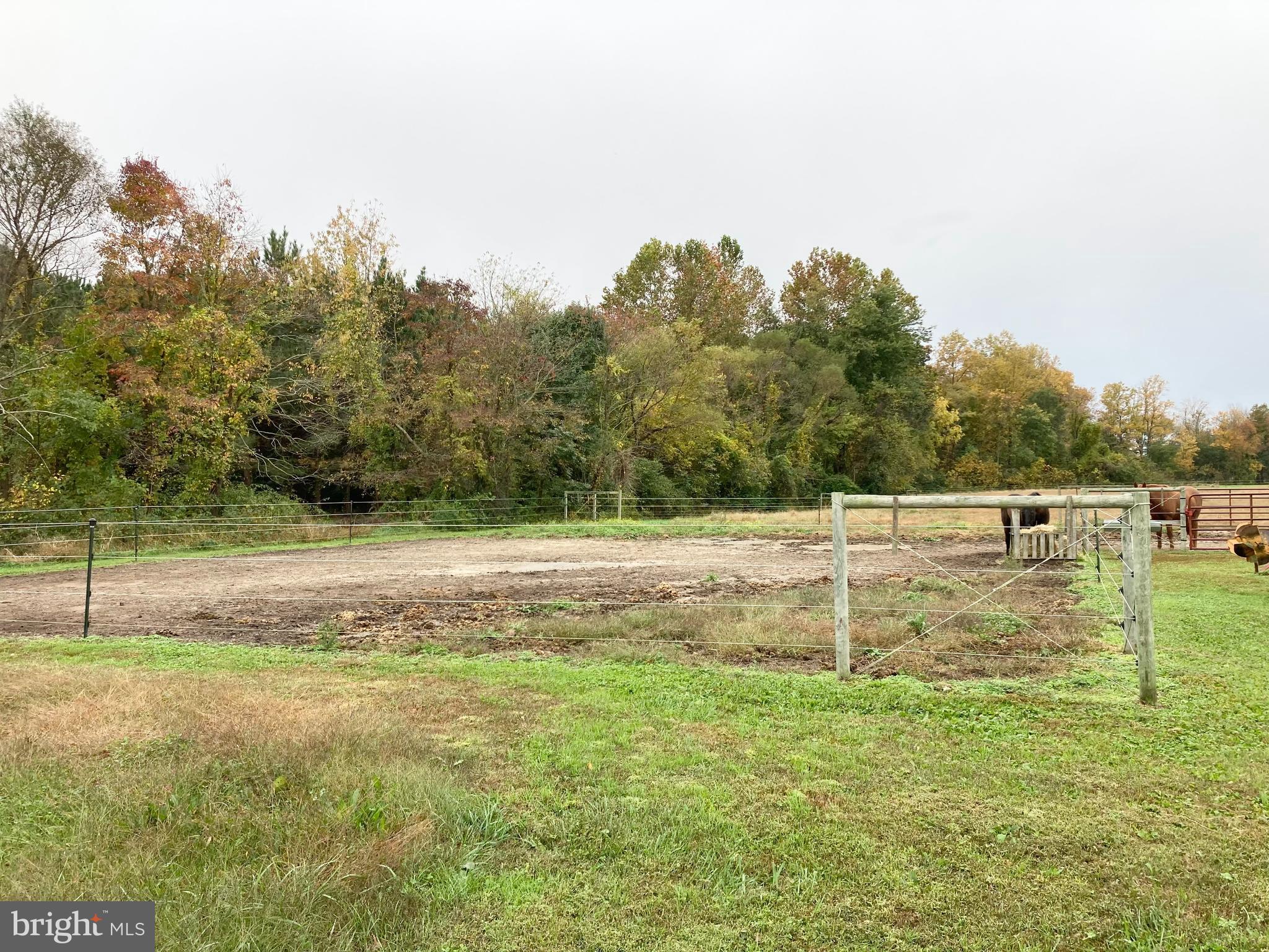 22947 Fleming Road Denton, MD 21629 - Photo 23 of 25 Gallery Image 23