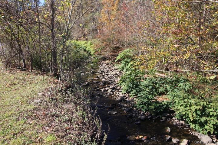 13 Creamery Road Livingston Manor, NY 12758 - Photo 3 of 23 View of nature