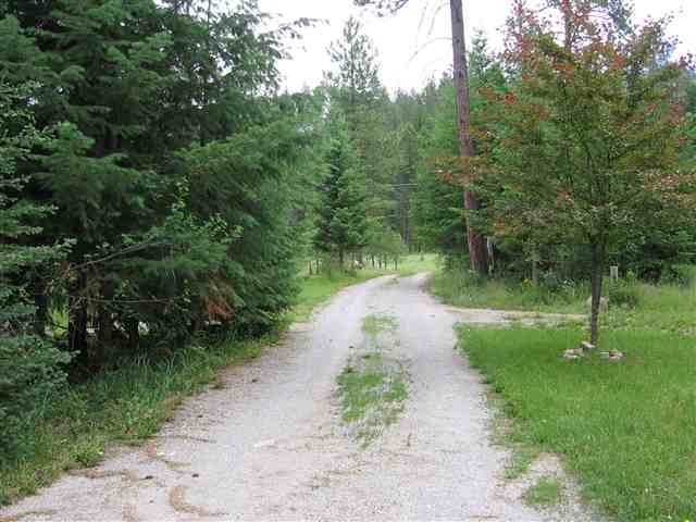 515 Dolomite Road Colville, WA 99114 - Photo 5 of 9