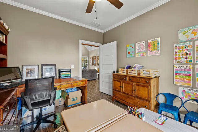 a view of a park with large trees