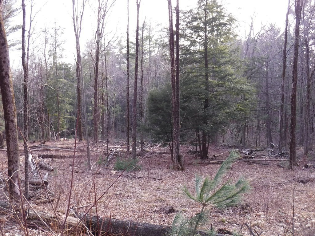 Lot 12 Vinton Road Sturbridge, MA 01566 - Photo 4 of 9 Gallery Image 4