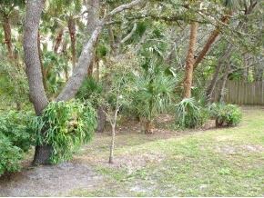 9537 Fleming Grant Road Micco, FL 32976 - Photo 6 of 6 Additional Photo