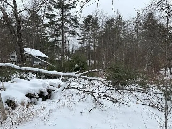 $37,500 | 21 Shufelt Way, Schroon, NY 12870