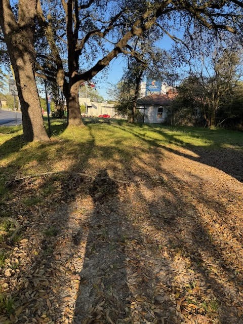 3107 Montgomery Road Huntsville, TX 77340 - Photo 7 of 11