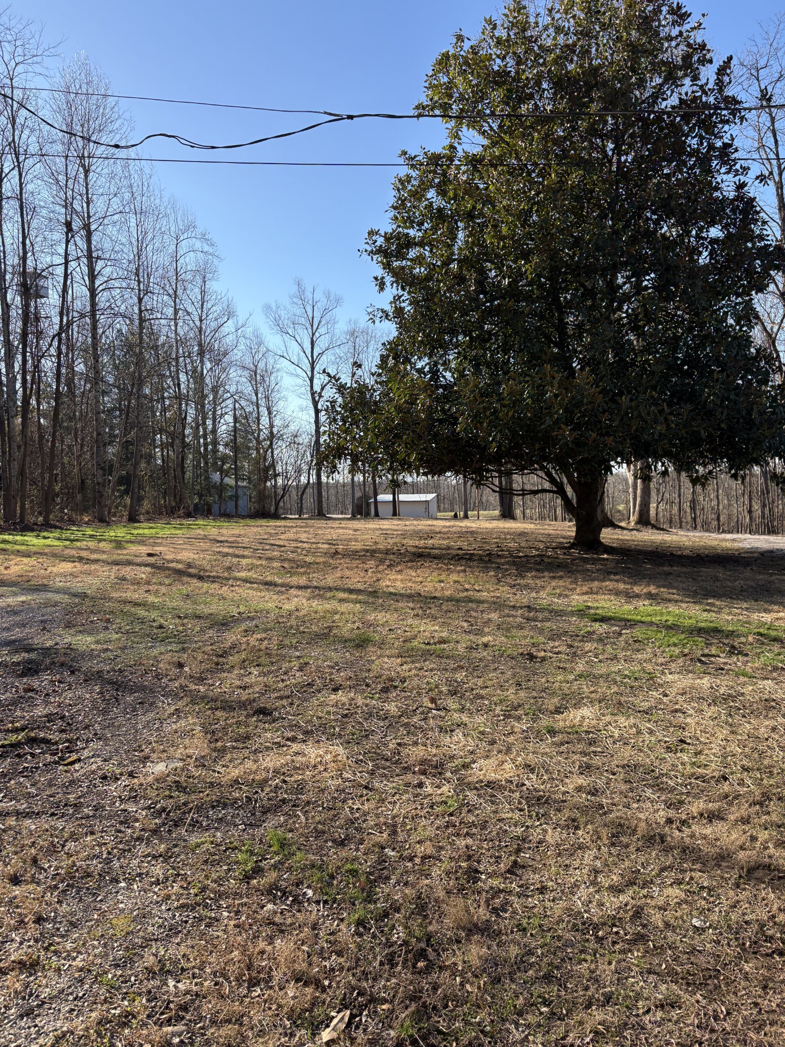 1358 Hurricane Ridge Road Smithville, TN 37166 - Photo 27 of 29 a view of large trees with a yard