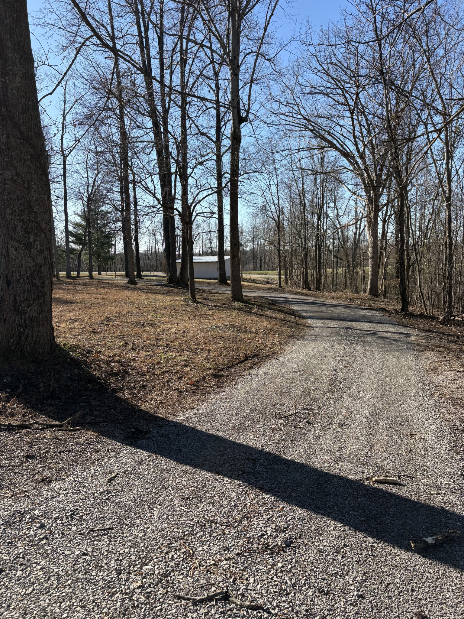 1358 Hurricane Ridge Road Smithville, TN 37166 - Photo 29 of 29 a view of a backyard of the house