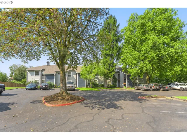 a view of a yard with plants and trees