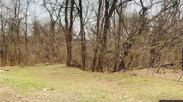 0 Frankstown Road Pittsburgh, PA 15235 - Photo 1 of 2 a view of snow on the ground