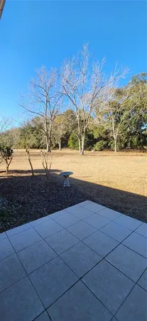 a view of a open space with lots of trees