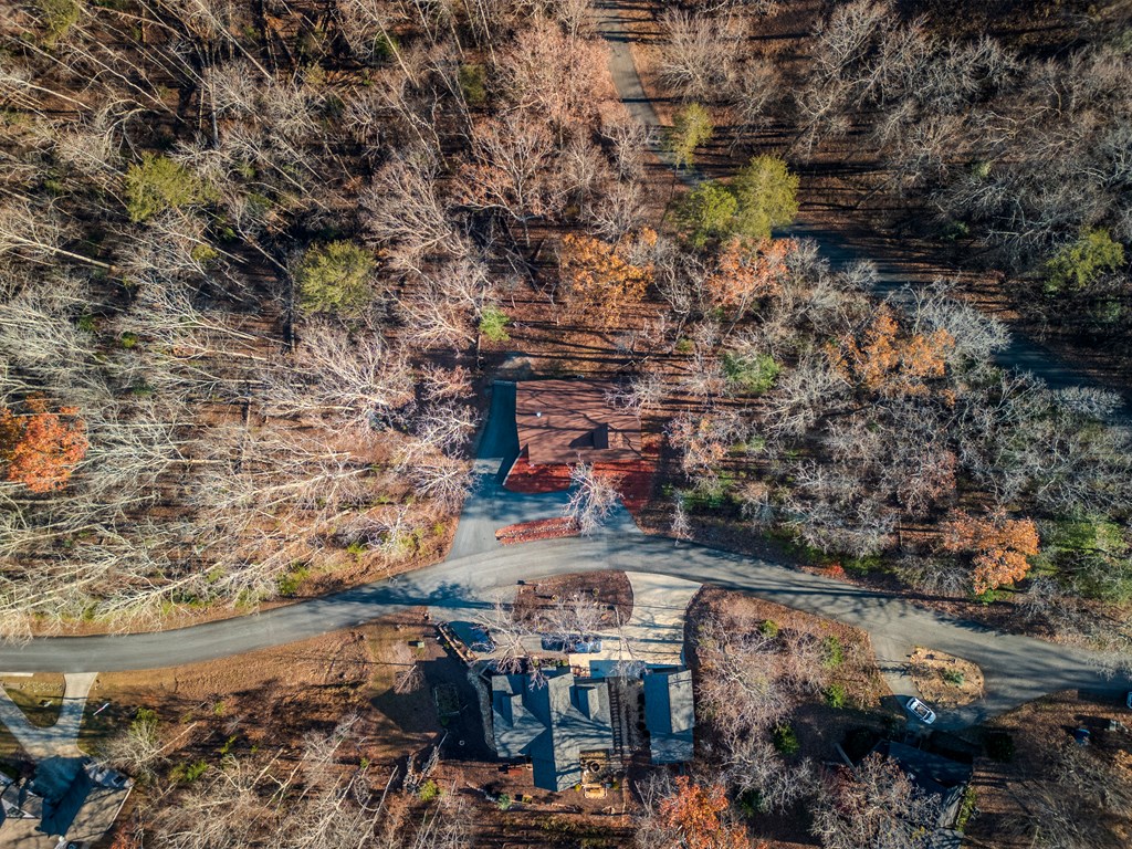 135 Grayson Point Blue Ridge, GA 30513 - Photo 42 of 46