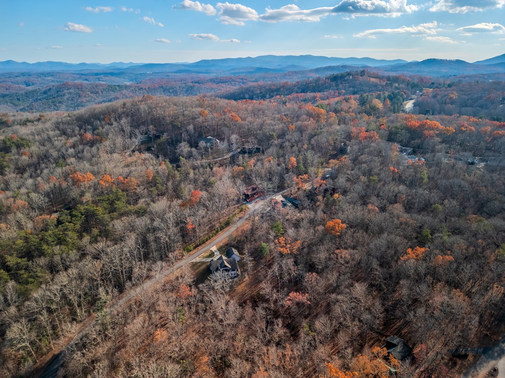 135 Grayson Point Blue Ridge, GA 30513 - Photo 43 of 46 an aerial view of residential house and green space
