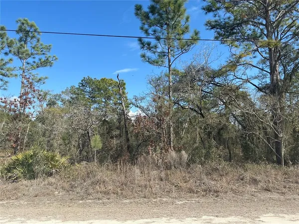 a view of a yard